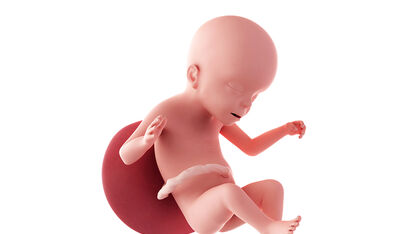 23 weken zwanger: Je baby hoort beter, jij een zwangerschapsmasker