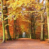 Vijf redenen waarom de herfst best leuk is