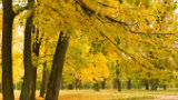 Ze.nl-playlist: Heerlijke herfstnummers