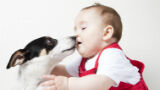 Bizar: botox voor je hond en een pruik voor je baby