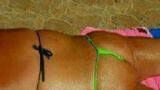Hilarische taferelen op het strand