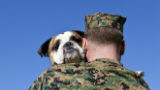 De leukste reünies tussen honden en hun soldatenouders  