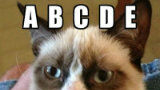 De 20 leukste Grumpy Cat-memes