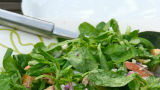 Recept: Salade met gerookte zalmforel 