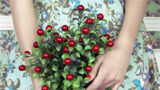 9x super voordelen van cranberry