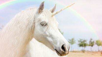 Met een unicorn naar je werk? Dat kan vanaf nu! 