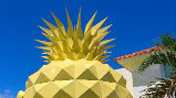 YAY! Je kunt nu overnachten in het huis van Spongebob! 