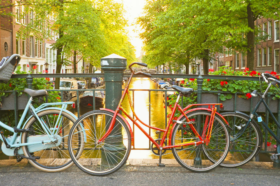 Dit is dé oplossing om nooit meer de trambaan in te fietsen