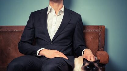 Dit zijn de leukste Instagramaccounts van mannen met katten