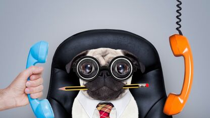 Fantastisch: illustraties van pratende dieren
