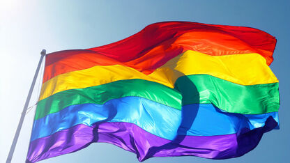 Blog Techgirl: Zo gebruik je het regenboogvlaggetje op Facebook