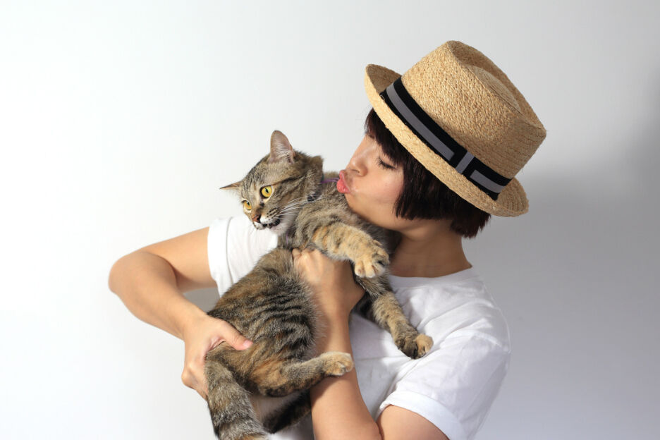 Wat je favoriete kattenras over je persoonlijkheid zegt
