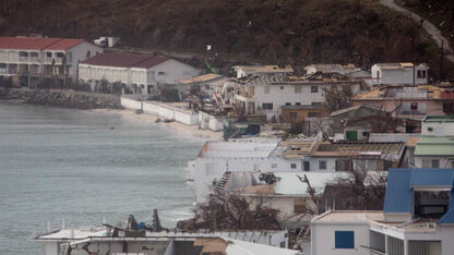 'Ook dieren op Sint Maarten zwaar getroffen door orkaan Irma'