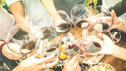 Nationale Drink Wijn Dag: 10 feitjes over wijn die je wilt weten