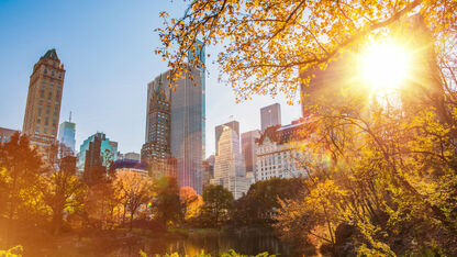 Citytrip: De 8 leukste steden om te bezoeken in de herfst 