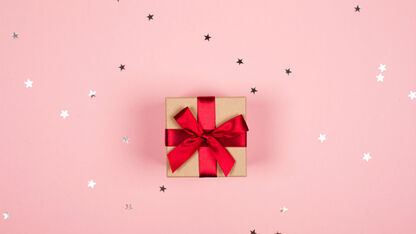 De 15 leukste kerstcadeaus voor iedereen die van roze houdt 