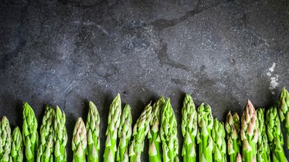 Met deze irritante situaties krijgt iedere vegetariër te maken