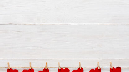 Liefdesquotes: de grappigste, leukste en liefste op een rij