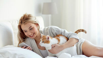 Katteneigenaren kunnen vandaag gratis naar de film met kattenselfie
