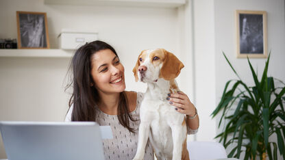 Hondenliefhebbers opgelet: het is vandaag 'neem je hond mee naar werk'-dag