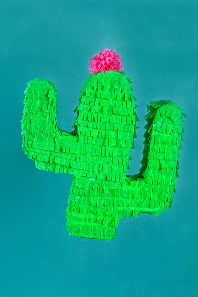 surprise idee cactus