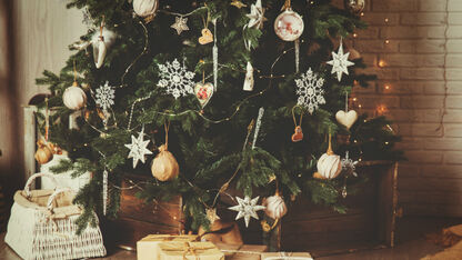 Zo verliest je kerstboom minder snel naalden