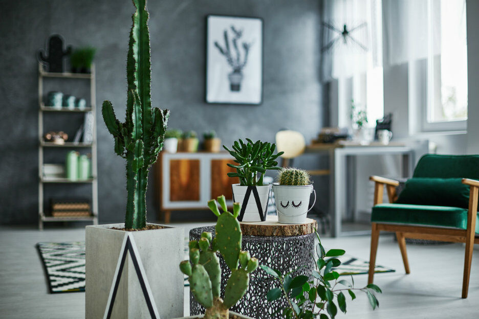 Feel good vibes creëren met leuke trends in je interieur