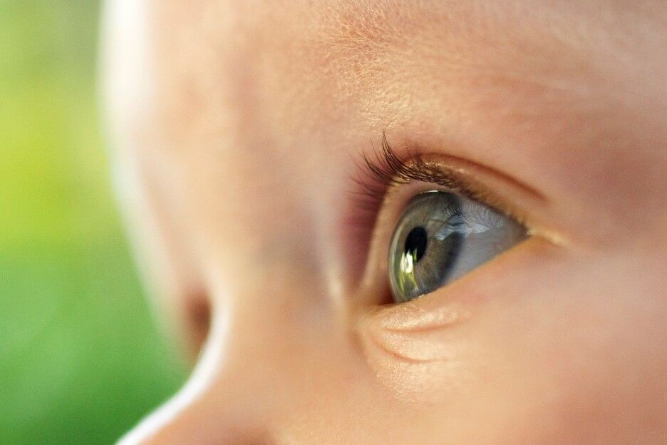 Trouwens Slovenië goedkeuren Welke kleur ogen krijgt jouw baby? Zo kom je erachter