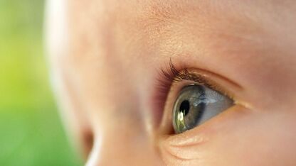 Welke kleur ogen krijgt jouw baby? Zo kom je erachter 