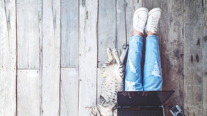 Vacature: redactiestagiair (m/v) bij Ze.nl en Freshhh (per november 2019)