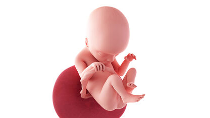 18 weken zwanger: eerste schopjes, wat een druktemakertje! 