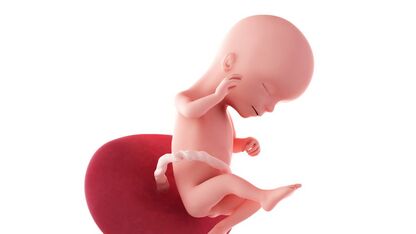 16 weken zwanger: hallo klein duimelotje!