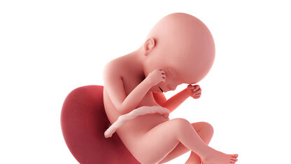 24 weken zwanger: je baby is nu levensvatbaar!