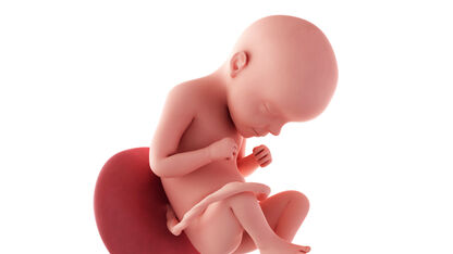 29 weken zwanger: je baby kan proeven