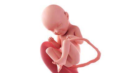33 weken zwanger: bye bye schokdempers, hallo kickbokser