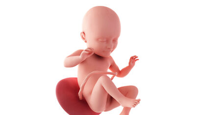34 weken zwanger: tijd voor zwangerschapsverlof