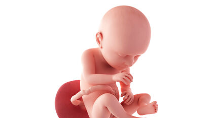 37 weken zwanger: je baby is voldragen
