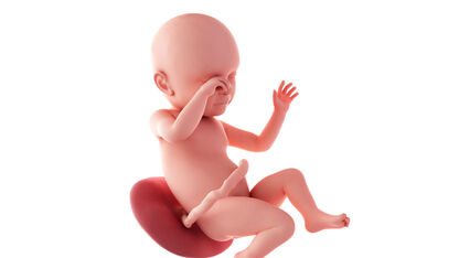 39 weken zwanger: geen doorzichtig huidje meer