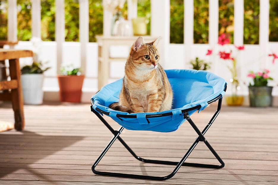 Lidl aanbiedingen: Kattenbed, crêpemaker, uitschuifbaar bureau