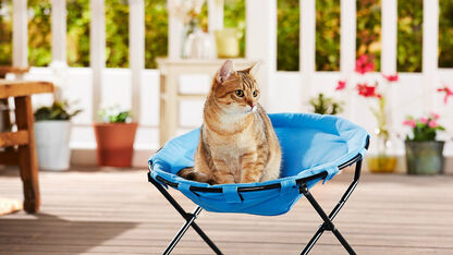 Lidl aanbiedingen: Kattenbed, crêpemaker, uitschuifbaar bureau
