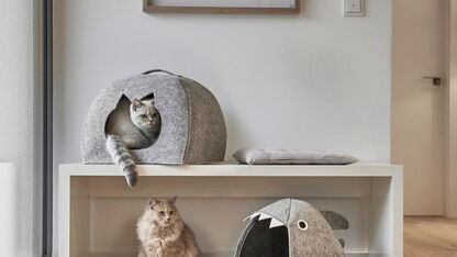 Purfect: dit zijn de hipste kattenmanden