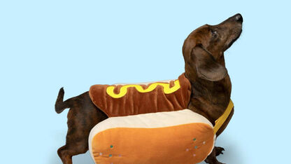 Hebben: bij HEMA scoor je nu een hotdog-verkleedpak voor je hond