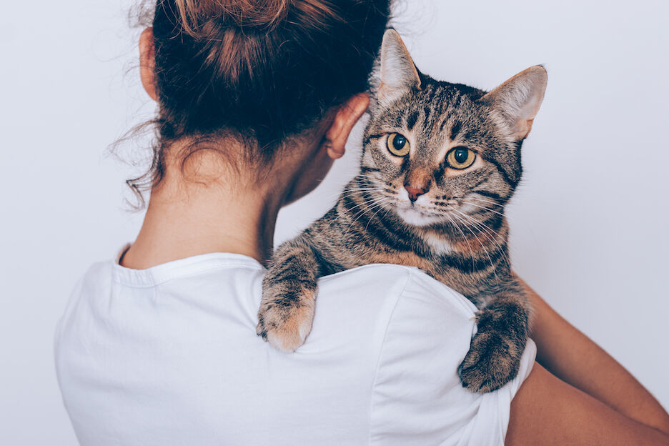 Dit zijn de leukste cadeaus voor een crazy cat lady