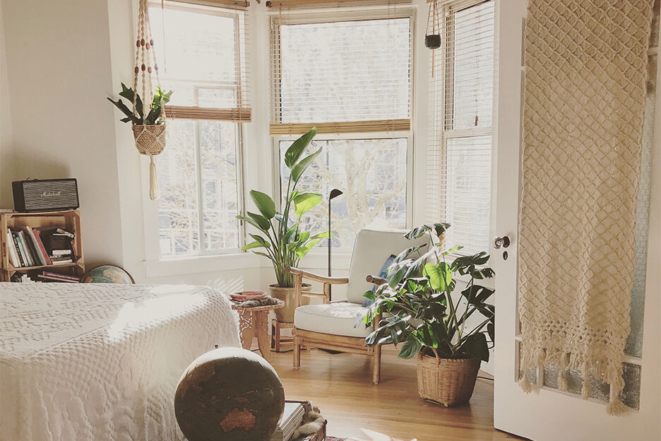 Deze 6 planten hebben bijna geen water nodig 