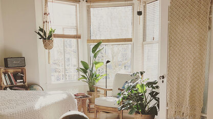 Deze 6 planten hebben bijna geen water nodig 