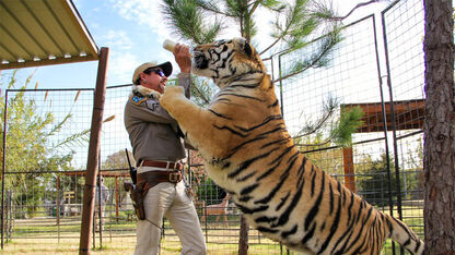 Hoera! Er komt binnenkort een bonusaflevering van Tiger King