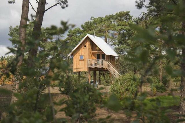 Resort De Wije Werelt de Veluwe boomhut camping