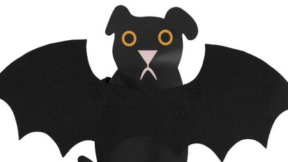 Te leuk: dit Halloween-pakje voor je hond wil je hebben