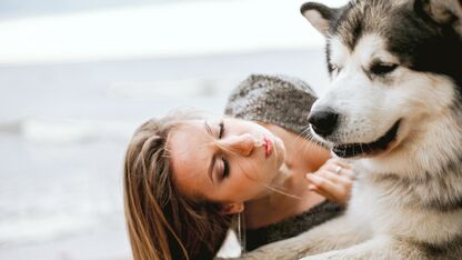 Deze 13 honden hebben niet door hoe groot ze zijn