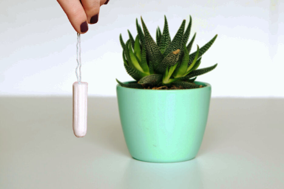 tampon hack plant